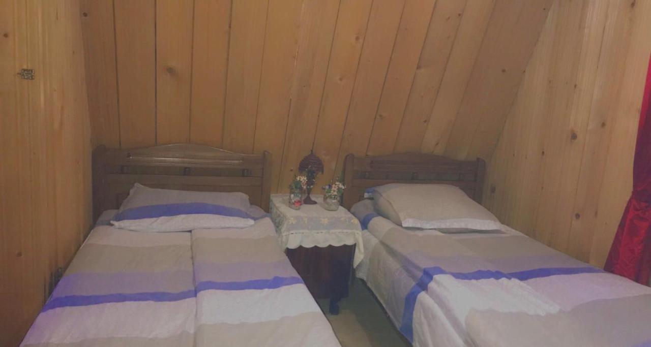 Guesthouse Greenside Borjomi Exterior photo