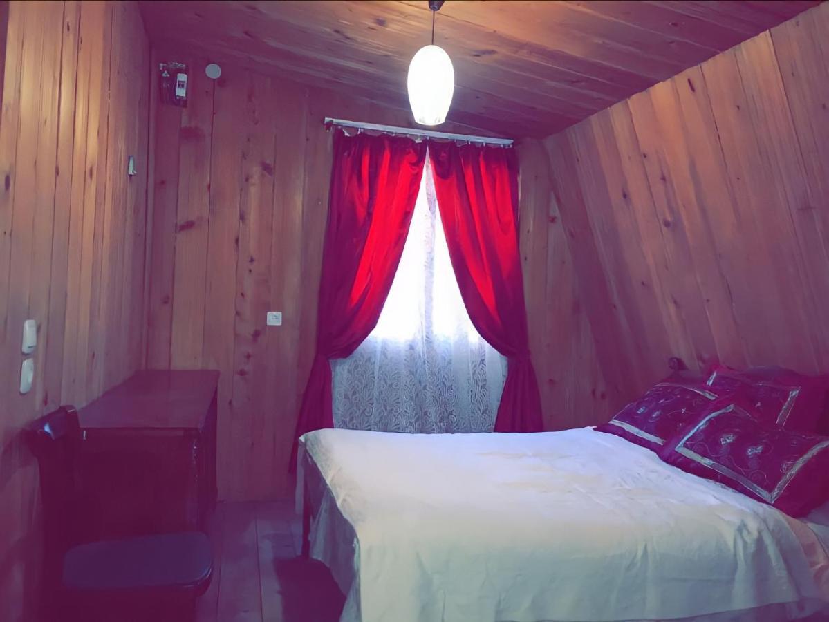 Guesthouse Greenside Borjomi Exterior photo